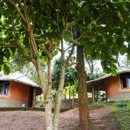 Punarjani Ayurvedic Resorts Ramakkalmedu Екстер'єр фото
