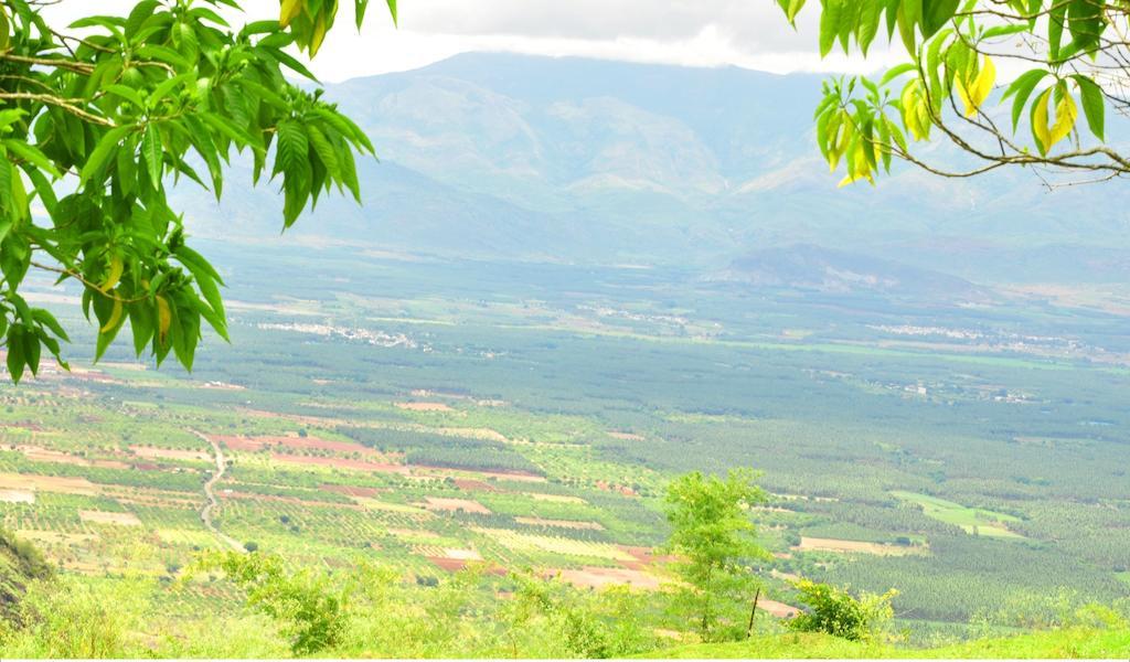 Punarjani Ayurvedic Resorts Ramakkalmedu Екстер'єр фото