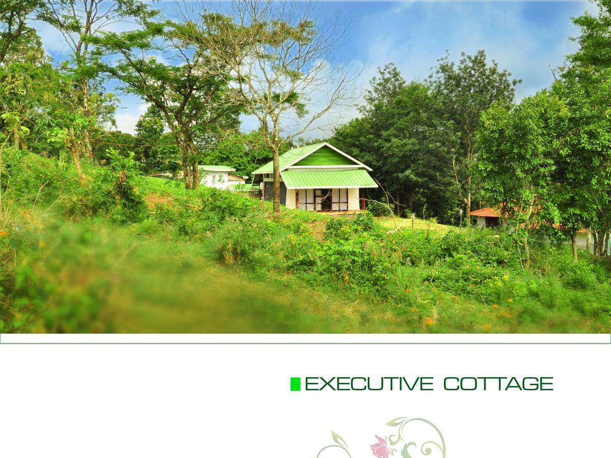 Punarjani Ayurvedic Resorts Ramakkalmedu Екстер'єр фото