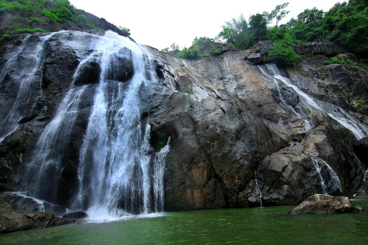 Punarjani Ayurvedic Resorts Ramakkalmedu Екстер'єр фото